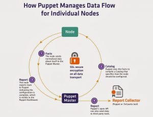 Puppet Flow